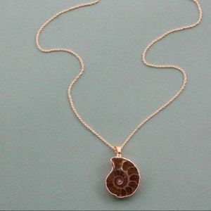 Coiled Fossilized Stone Necklace 10K Gold Plate